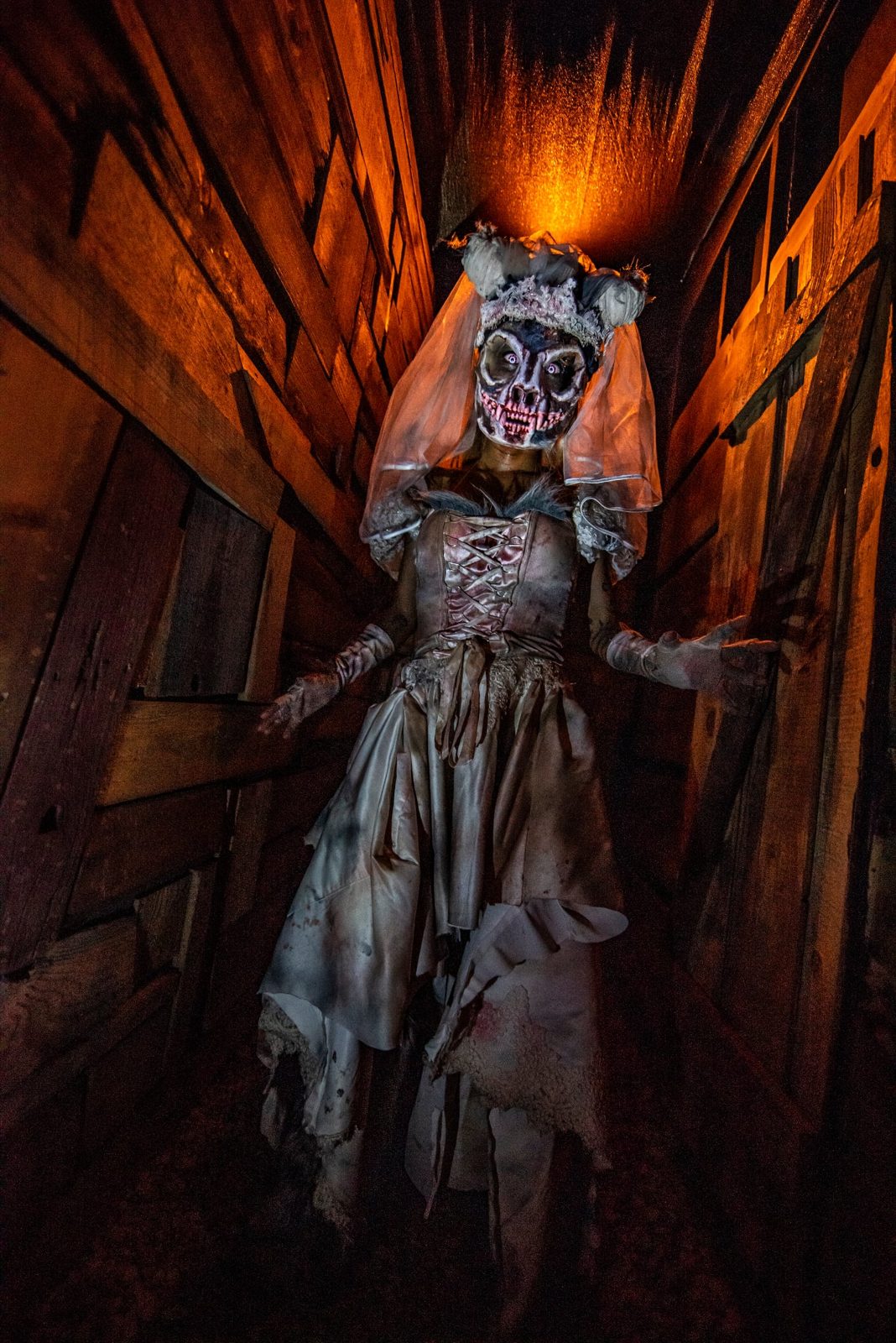 Scream Town